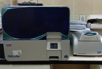 pcr